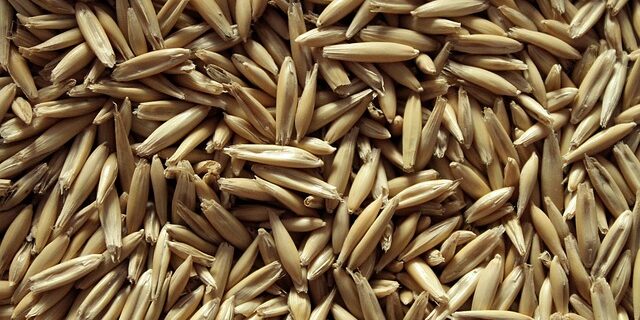 Fem overraskende måder at bruge havregryn i din aftensmad