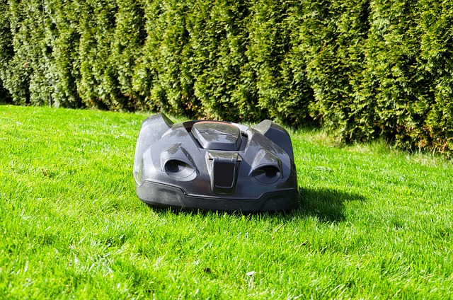 Sådan vælger du den bedste robotplæneklipper til din have
