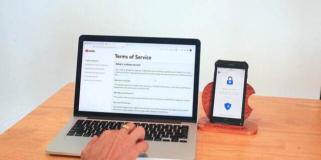 Prisvenlig og professionel: Derfor overhaler wordpress andre webshopløsninger