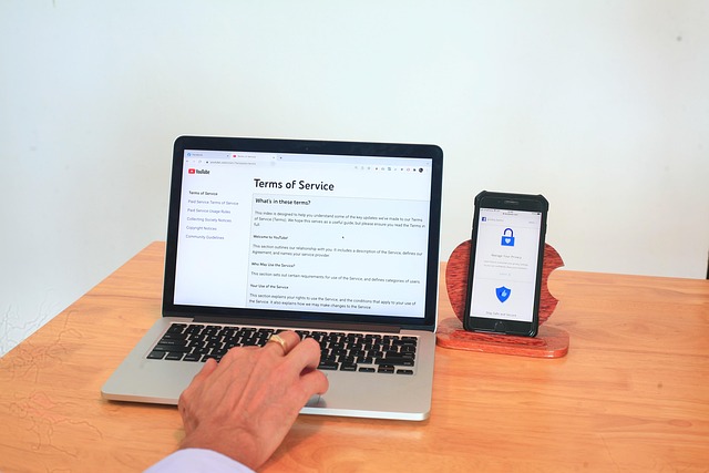 Prisvenlig og professionel: Derfor overhaler wordpress andre webshopløsninger